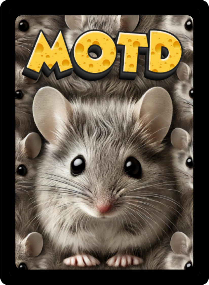 MOTD Trading Card Foil Packs – Awesome Cheese Mouse